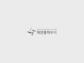 [홍콩 3일_오전출발] 핵심관광 + 자유시간